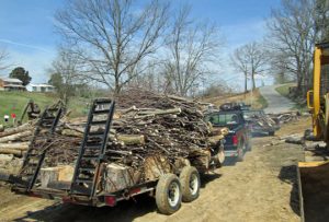 Tree Removal Cleanup Load
