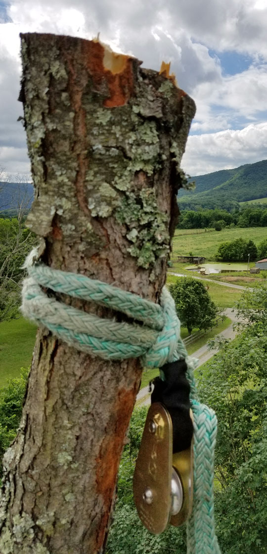 Detail of Block and Tackle Work High In A Tree Overlooking Mountains