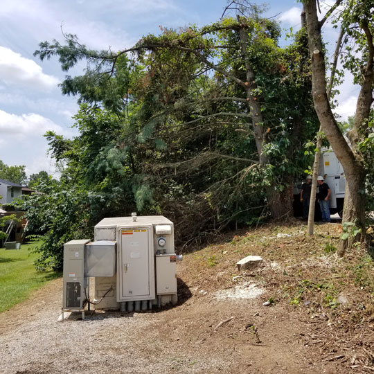 Commercial Tree Work - Clearing Around Phone Switching Equipment