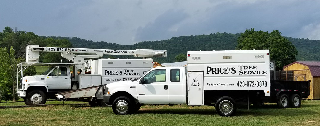 Price's Tree Service Image of Fleet of Heavy Equipment